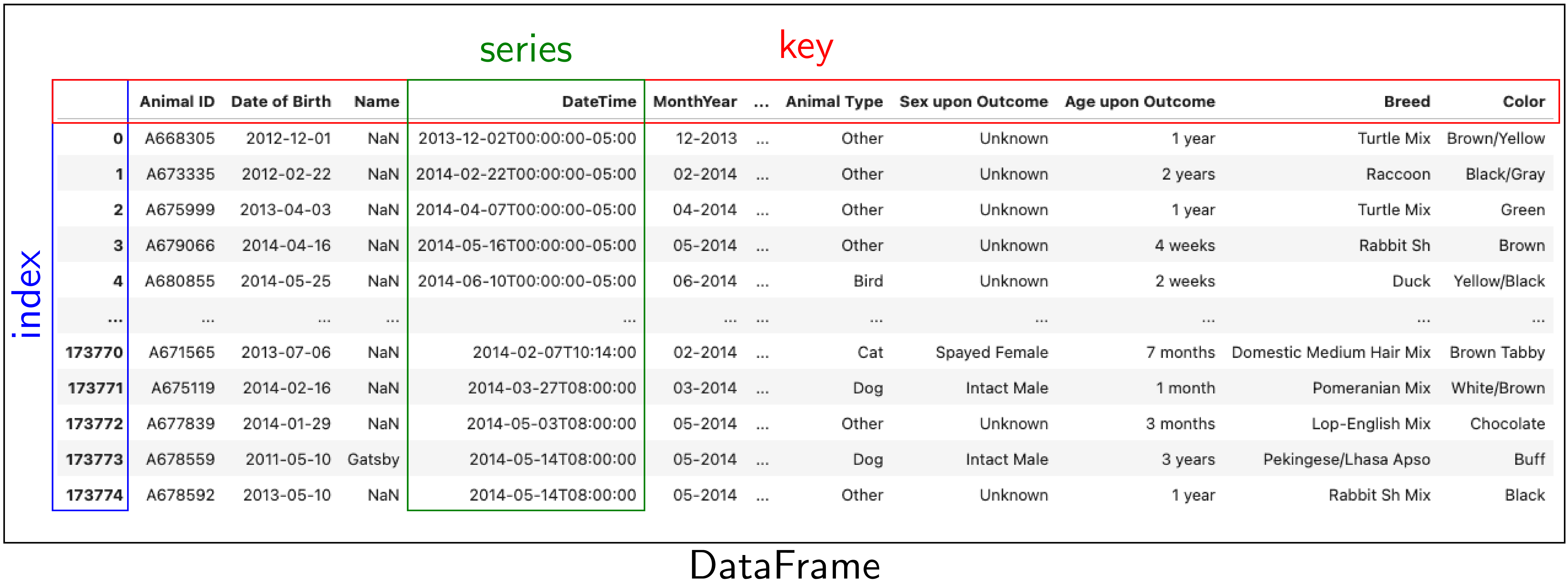 ../_images/dataframe.png